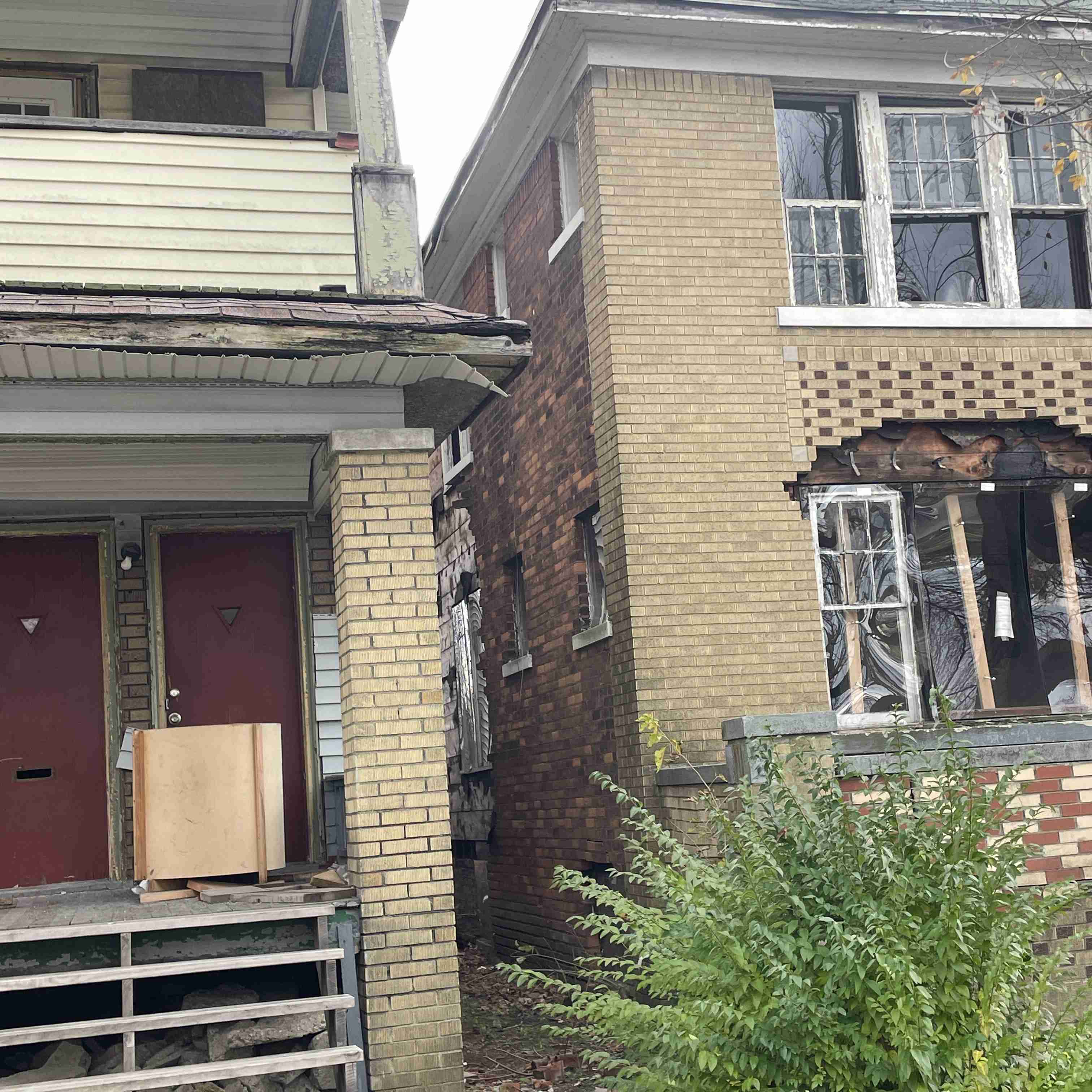 4039 Tuxedo (15).jpg